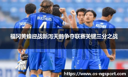 福冈黄蜂迎战新泻天鹅争夺联赛关键三分之战